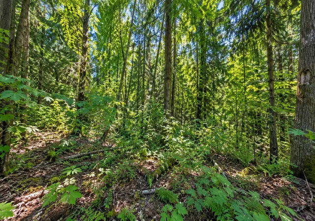 Photo 3 of Land for sale at 0 Se 125th Avenue, Renton, WA 98058 | MLS# 202625445 | Listing updated on 2026-10-14