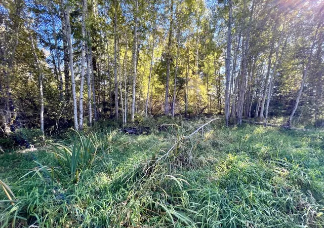 Photo 3 of Land for sale at 48xx S Swenson Rd, Deer Park, WA 99006 | MLS# 202625507 | Listing updated on 2026-10-09