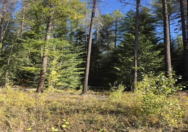Photo 3 of Land for sale at Nka Green Rd, Newport, WA 99156 | MLS# 202625535 | Listing updated on 2026-10-09