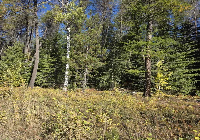Photo 3 of Land for sale at Nka Green Rd, Newport, WA 99156 | MLS# 202625535 | Listing updated on 2026-10-09