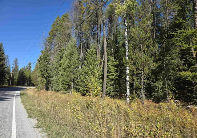 Photo 4 of Land for sale at Nka Green Rd, Newport, WA 99156 | MLS# 202625535 | Listing updated on 2026-10-09