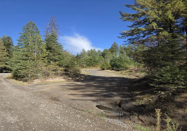 Land for sale at 20866 N Mt Carlton Rd, Mead, WA 99021 | MLS# 202625587