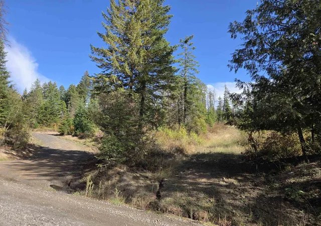 Photo 1 of Land for sale at 20866 N Mt Carlton Rd, Mead, WA 99021 | MLS# 202625587 | Listing updated on 2026-10-09