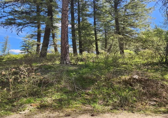 Photo 2 of Land for sale at 20866 N Mt Carlton Rd, Mead, WA 99021 | MLS# 202625587 | Listing updated on 2026-10-09
