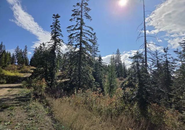 Photo 3 of Land for sale at 20866 N Mt Carlton Rd, Mead, WA 99021 | MLS# 202625587 | Listing updated on 2026-10-09