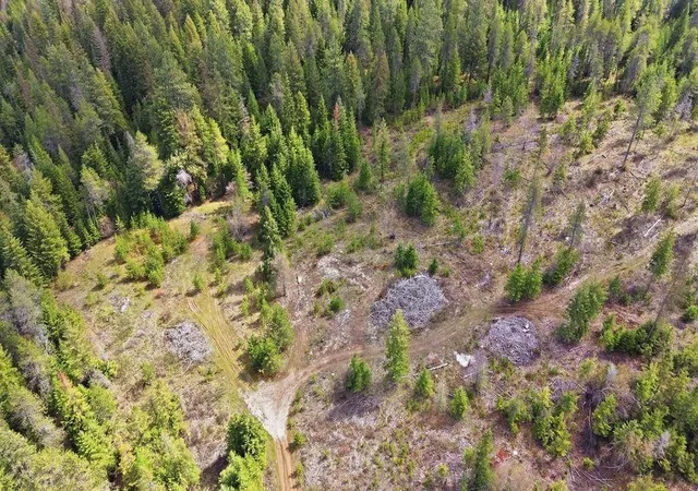 Land for sale at 8300 E Lodge Pole Ln, Chattaroy, WA 99003 | MLS# 202625609