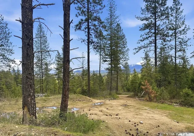 Photo 2 of Land for sale at 8300 E Lodge Pole Ln, Chattaroy, WA 99003 | MLS# 202625609 | Listing updated on 2026-10-09