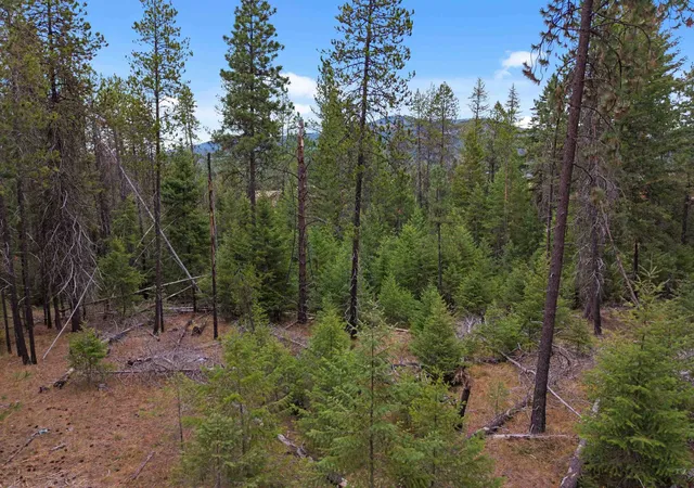 Land for sale at Nka Smiley Ln, Newport, WA 99156 | MLS# 202625641