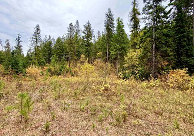 Land for sale at 42xx Bussard Lake Rd, Loon Lake, WA 99148 | MLS# 202625669