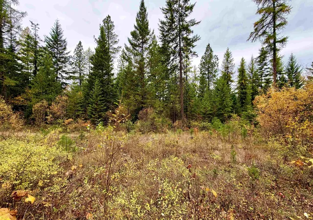 Photo 2 of Land for sale at 42xx Bussard Lake Rd, Loon Lake, WA 99148 | MLS# 202625669 | Listing updated on 2026-10-19