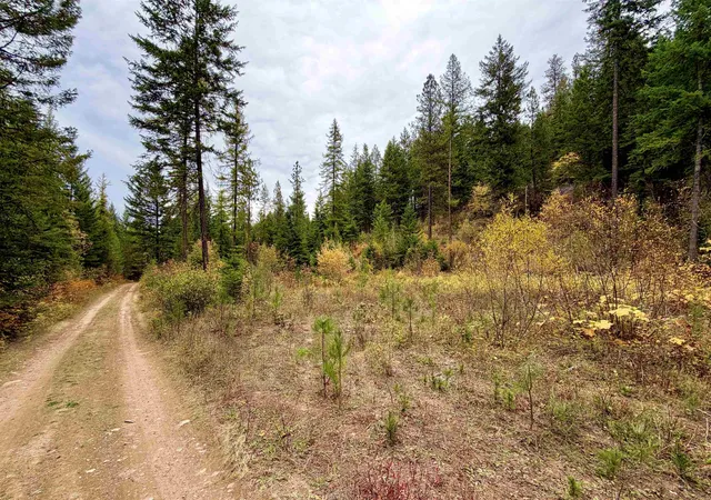 Photo 3 of Land for sale at 42xx Bussard Lake Rd, Loon Lake, WA 99148 | MLS# 202625669 | Listing updated on 2026-10-19