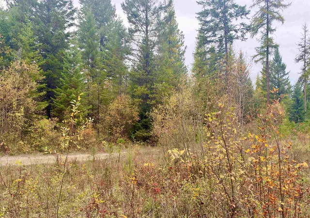 Photo 3 of Land for sale at 42xx Bussard Lake Rd, Loon Lake, WA 99148 | MLS# 202625669 | Listing updated on 2026-10-19