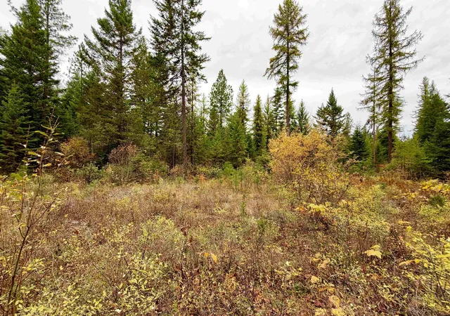 Photo 4 of Land for sale at 42xx Bussard Lake Rd, Loon Lake, WA 99148 | MLS# 202625669 | Listing updated on 2026-10-19