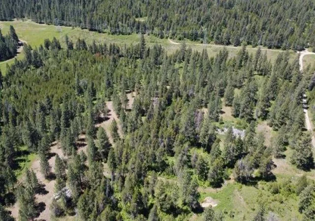Land for sale at 00 N Waldrons Ln, Chattaroy, WA 99003 | MLS# 202625689