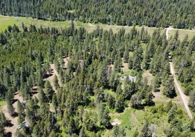 Photo 2 of Land for sale at 00 N Waldrons Ln, Chattaroy, WA 99003 | MLS# 202625689 | Listing updated on 2026-10-19