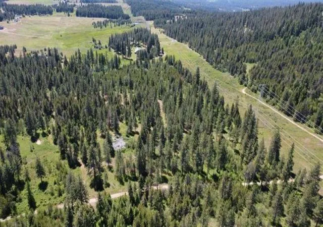 Photo 3 of Land for sale at 00 N Waldrons Ln, Chattaroy, WA 99003 | MLS# 202625689 | Listing updated on 2026-10-19