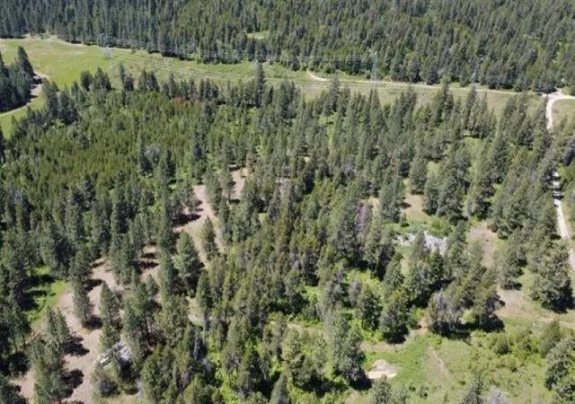 Photo 4 of Land for sale at 00 N Waldrons Ln, Chattaroy, WA 99003 | MLS# 202625689 | Listing updated on 2026-10-19