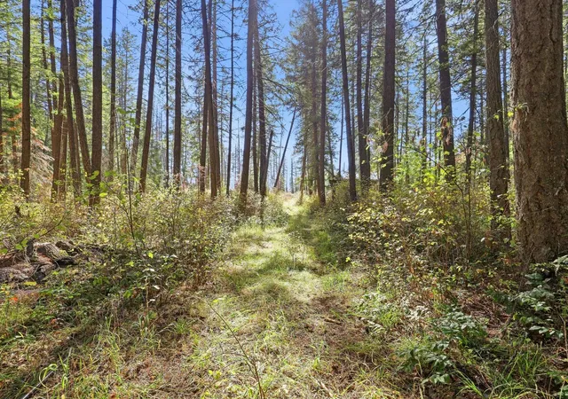 Photo 3 of Land for sale at 15625 E Ridgeway Ln, Hayden, ID 83835 | MLS# 202625706 | Listing updated on 2026-10-20