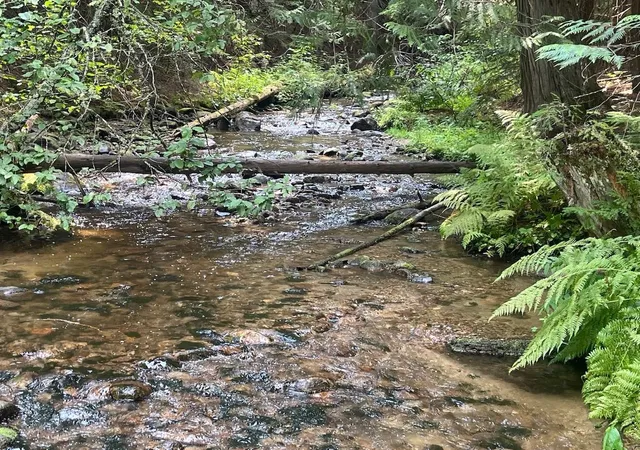 Photo 1 of Land for sale at Nka Calicoma Rd/campbell Ln, Cusick, WA 99119 | MLS# 202625714 | Listing updated on 2026-10-20