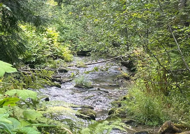 Photo 2 of Land for sale at Nka Calicoma Rd/campbell Ln, Cusick, WA 99119 | MLS# 202625714 | Listing updated on 2026-10-20