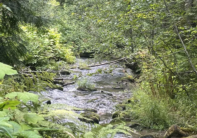 Photo 3 of Land for sale at Nka Calicoma Rd/campbell Ln, Cusick, WA 99119 | MLS# 202625714 | Listing updated on 2026-10-20