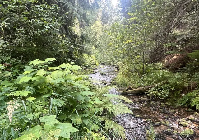 Photo 3 of Land for sale at Nka Calicoma Rd/campbell Ln, Cusick, WA 99119 | MLS# 202625714 | Listing updated on 2026-10-20