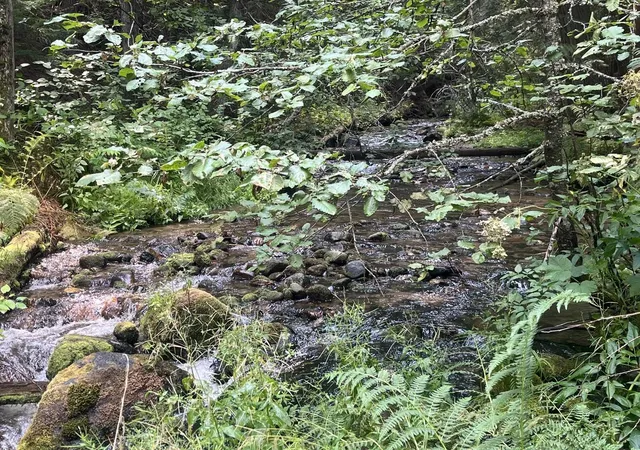 Photo 4 of Land for sale at Nka Calicoma Rd/campbell Ln, Cusick, WA 99119 | MLS# 202625714 | Listing updated on 2026-10-20