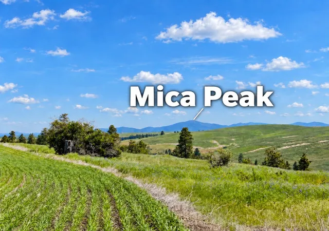 Photo 2 of Land for sale at 40 Acres 11900 Hays Rd, Spangle, WA 99031 | MLS# 202625784 | Listing updated on 2026-10-22