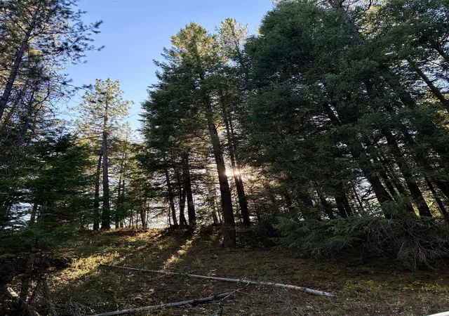 Land for sale at 7611 Scotia Rd, Newport, WA 99156 | MLS# 202625824