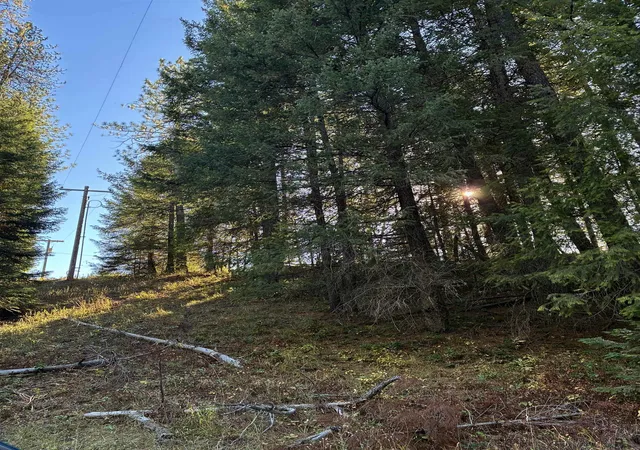 Photo 1 of Land for sale at 7611 Scotia Rd, Newport, WA 99156 | MLS# 202625824 | Listing updated on 2026-10-22