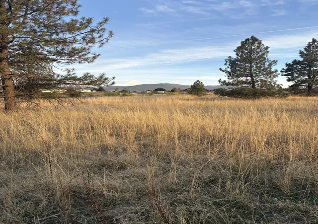 Land for sale at 6310 N Ormond Rd, Otis Orchards, WA 99027 | MLS# 202625899
