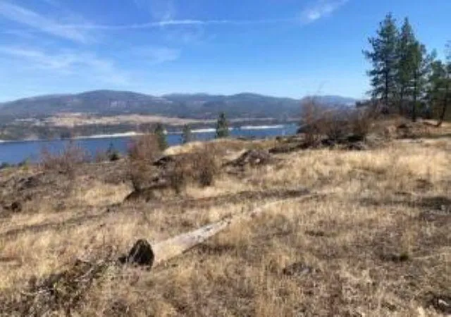 Photo 2 of Land for sale at Xx Grand Louis Rd, Inchelium, WA 99138 | MLS# 202625982 | Listing updated on 2026-10-26