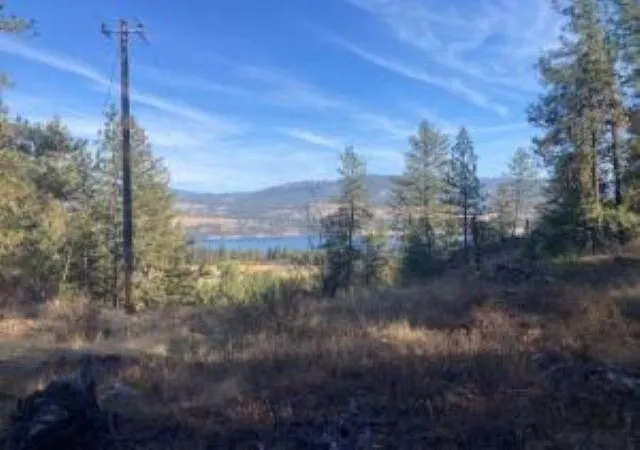 Photo 3 of Land for sale at Xx Grand Louis Rd, Inchelium, WA 99138 | MLS# 202625982 | Listing updated on 2026-10-26