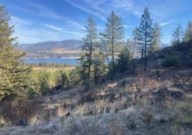 Photo 3 of Land for sale at Xx Grand Louis Rd, Inchelium, WA 99138 | MLS# 202625982 | Listing updated on 2026-10-26
