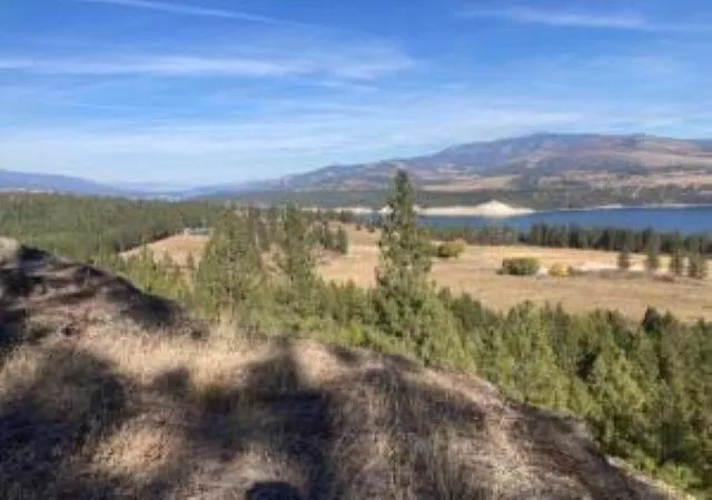 Photo 4 of Land for sale at Xx Grand Louis Rd, Inchelium, WA 99138 | MLS# 202625982 | Listing updated on 2026-10-26