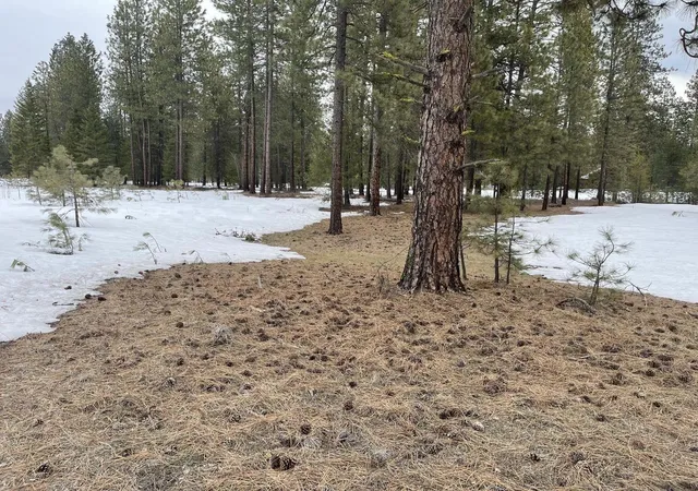 Land for sale at 4xx Couples Ct, Chewelah, WA 99109 | MLS# 202625990