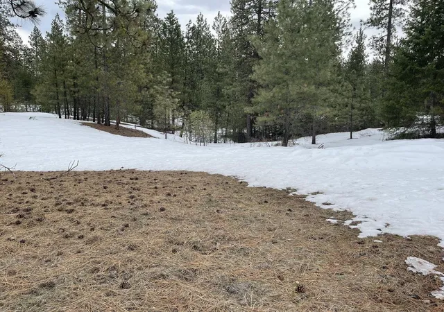 Photo 1 of Land for sale at 4xx Couples Ct, Chewelah, WA 99109 | MLS# 202625990 | Listing updated on 2026-10-27