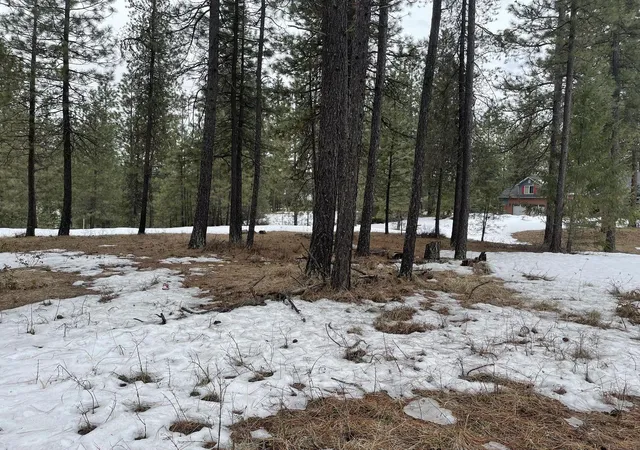 Photo 2 of Land for sale at 4xx Couples Ct, Chewelah, WA 99109 | MLS# 202625990 | Listing updated on 2026-10-27