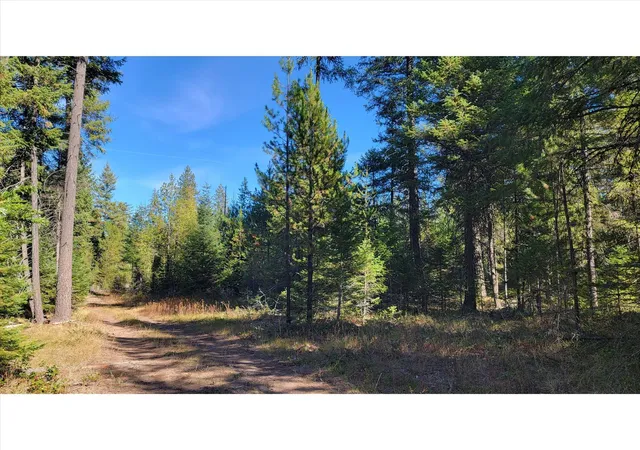 Land for sale at Nkn Northshore Diamond Lake Rd, Newport, WA 99156 | MLS# 202626059