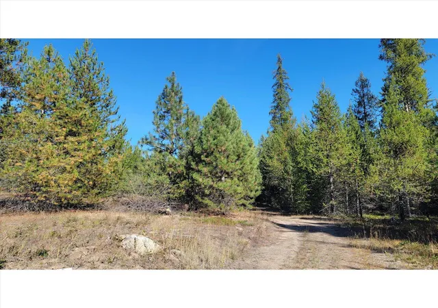 Photo 1 of Land for sale at Nkn Northshore Diamond Lake Rd, Newport, WA 99156 | MLS# 202626059 | Listing updated on 2026-10-22
