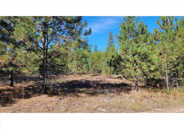 Photo 2 of Land for sale at Nkn Northshore Diamond Lake Rd, Newport, WA 99156 | MLS# 202626059 | Listing updated on 2026-10-22