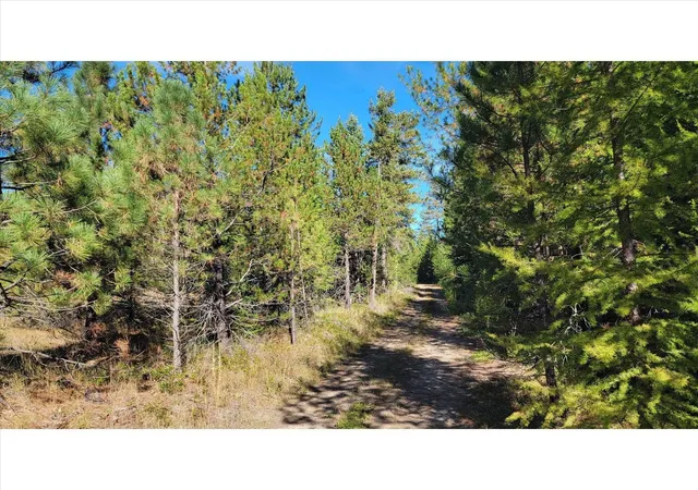 Photo 3 of Land for sale at Nkn Northshore Diamond Lake Rd, Newport, WA 99156 | MLS# 202626059 | Listing updated on 2026-10-22