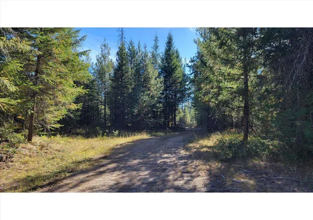 Photo 4 of Land for sale at Nkn Northshore Diamond Lake Rd, Newport, WA 99156 | MLS# 202626059 | Listing updated on 2026-10-22