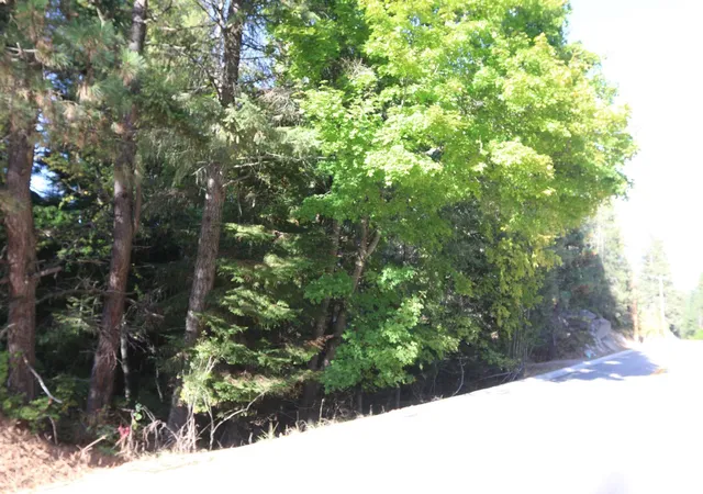 Photo 2 of Land for sale at 7289 Fertile Valley Rd, Newport, WA 99156 | MLS# 202626061 | Listing updated on 2026-10-22