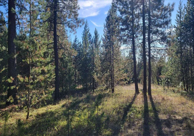 Land for sale at 1xxx Spring Valley Rd, Newport, WA 99156 | MLS# 202626063