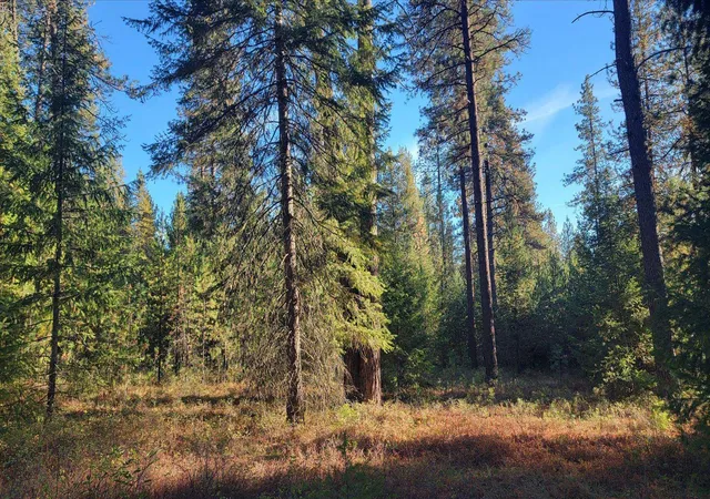 Photo 2 of Land for sale at 1xxx Spring Valley Rd, Newport, WA 99156 | MLS# 202626063 | Listing updated on 2026-10-22
