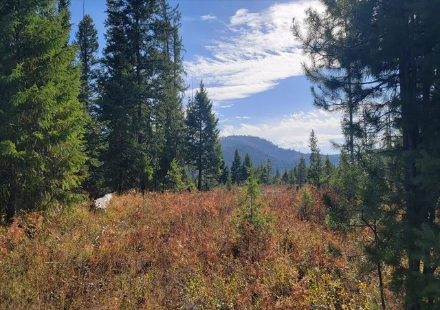 Land for sale at Nkn Green Rd, Newport, WA 99156 | MLS# 202626065