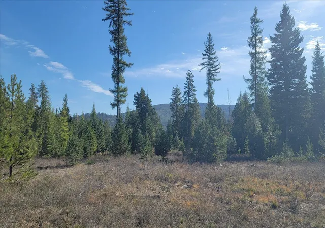 Photo 1 of Land for sale at Nkn Green Rd, Newport, WA 99156 | MLS# 202626065 | Listing updated on 2026-10-22