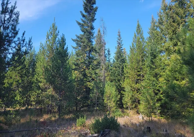 Photo 2 of Land for sale at Nkn Green Rd, Newport, WA 99156 | MLS# 202626065 | Listing updated on 2026-10-22