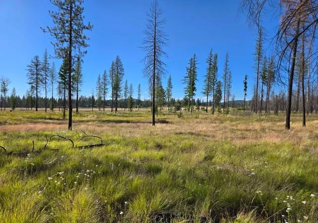 Photo 1 of Land for sale at 14xxx E Oregon Rd, Elk, WA 99009 | MLS# 202626076 | Listing updated on 2026-10-22